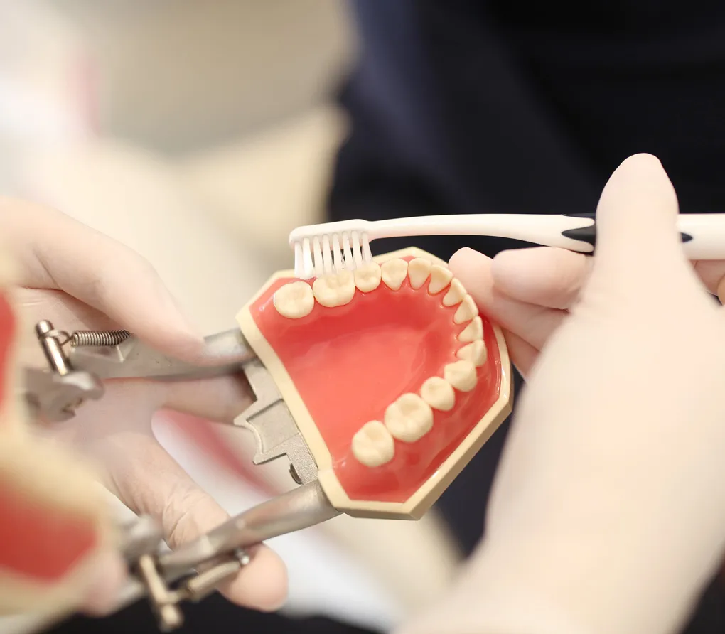 歯周病治療　プラークコントロール